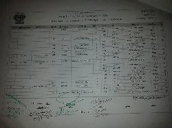 كبار السن 2017
