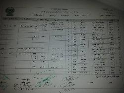 كبار السن 2017