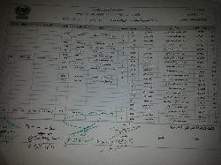 كبار السن 2017