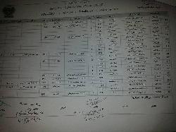 كبار السن 2017