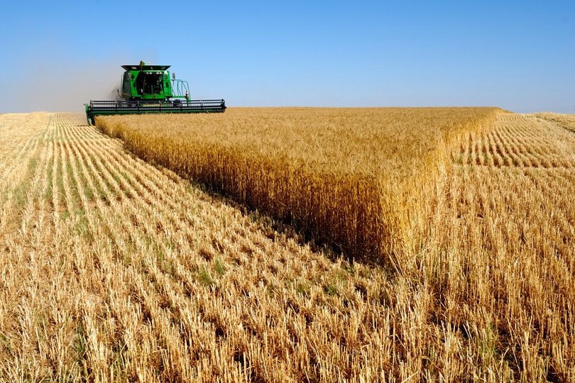 شركة إنتاج البذور تنهي تسديد مستحقات أصحاب الشلب والذرة