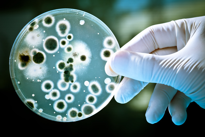حرب البكتيريا المقاومة وعصر ما بعد المضادات الحيوية