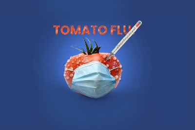 إنفلونزا الطماطم.. فيروس جديد